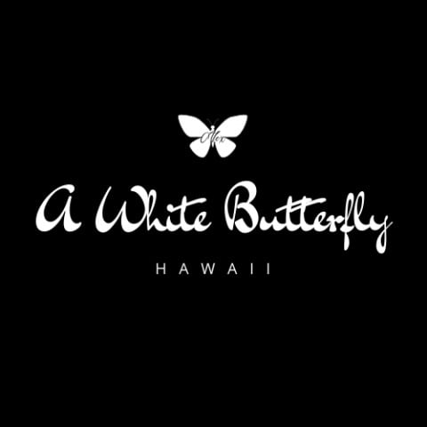 Classic White Butterfly